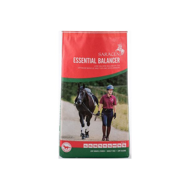 Saracen Essential Balancer