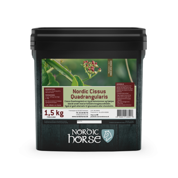 Nordic Cissus Quadrangularis