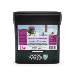 Nordic Marietidsel