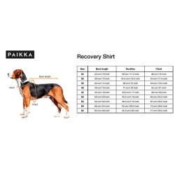  Paikka Recovery vinterdragt, gr�