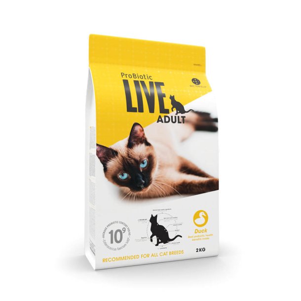 LIVE CAT Adult And