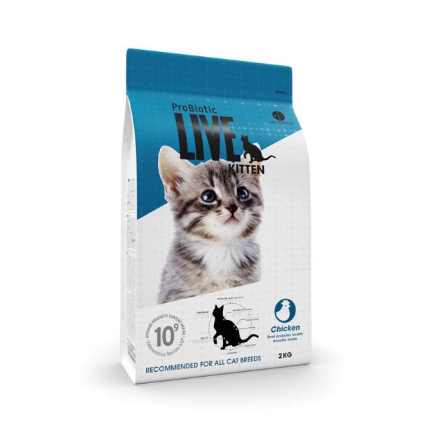 LIVE CAT Kitten Kylling
