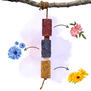 Candy Horse Herbal Wooden Chew - Happiness