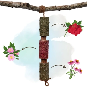 Candy Horse Herbal Wooden Chew - Immunity