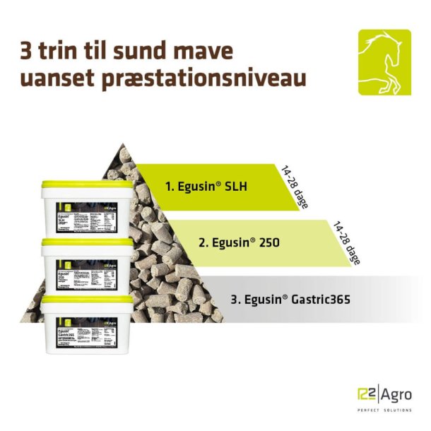 Egusin Gastric 365 Pellets