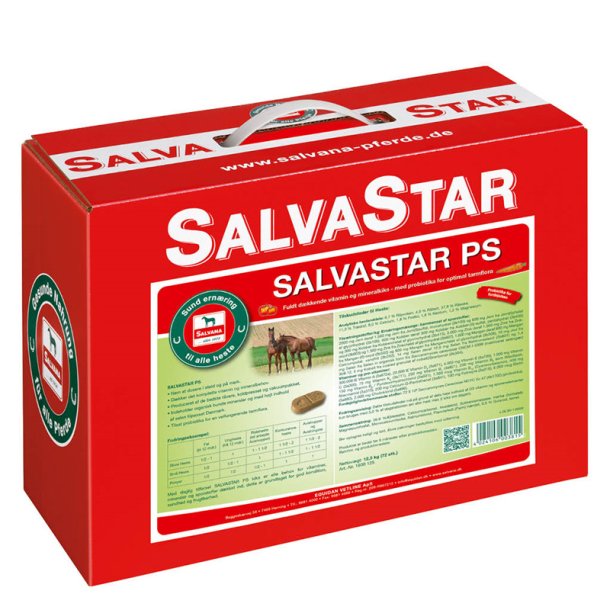 Salvastar PS kiks