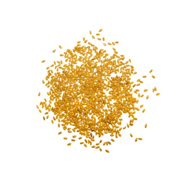 Marstall Sonnenlein (Gule hrfr)