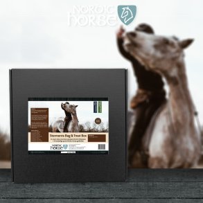 Stormonts Bag & Treat Box