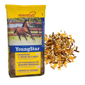 Marstall Young Star