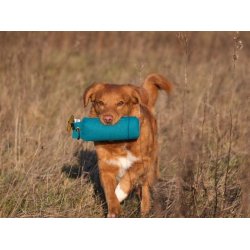 Fenriz by Procyon Dummy, Green