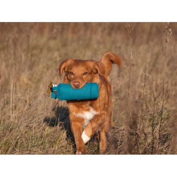 Fenriz by Procyon Dummy, Green