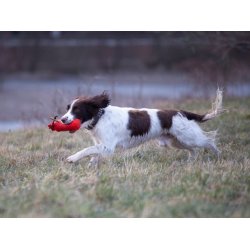 Fenriz by Procyon Dummy, Orange