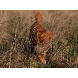 Fenriz by Procyon Dummy with fur 500 G