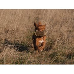 Fenriz by Procyon Dummy with fur 500 G