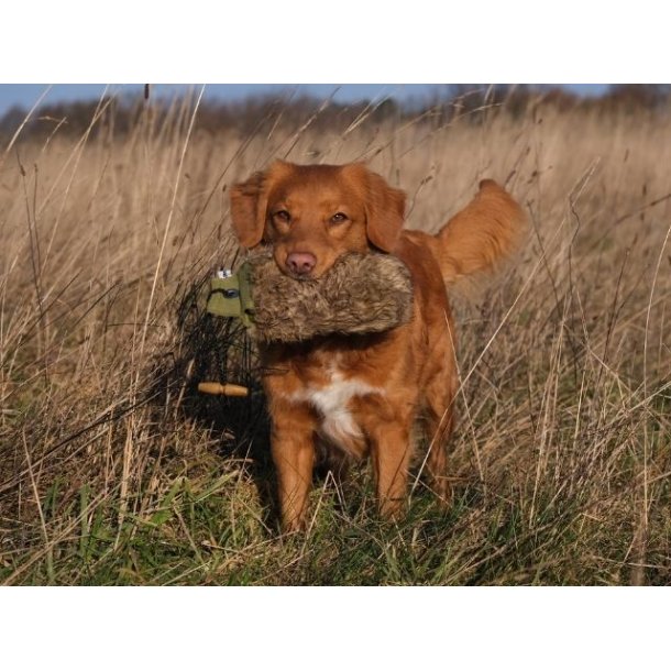 Fenriz by Procyon Dummy with fur 500 G