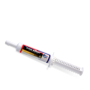 Equine America Xtra Boost Paste