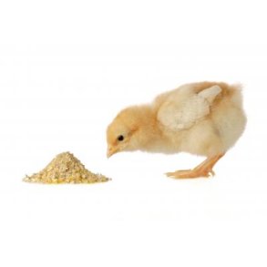 Logi Startfoder kologisk 20 kg