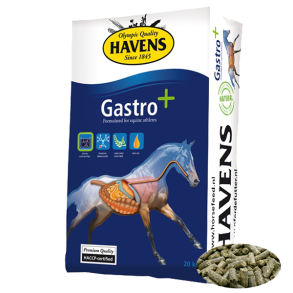 Havens Gastro+