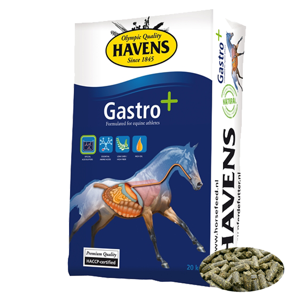 Havens Gastro+