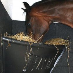 HayBar, Stor - Den originale h�h�k til heste