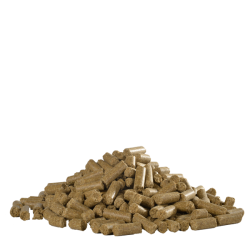 HH Care Icelandic Sport