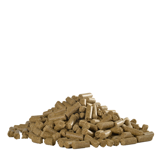 HH Care Icelandic Allround