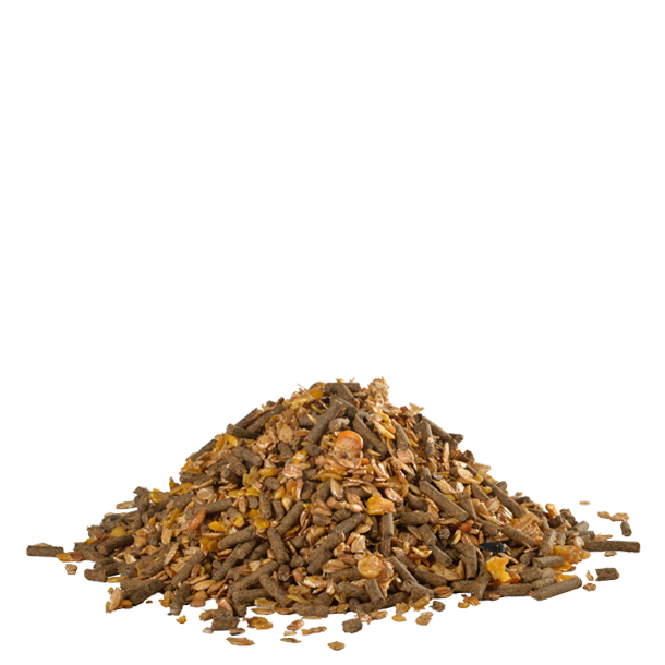 HH Care Msli Balance