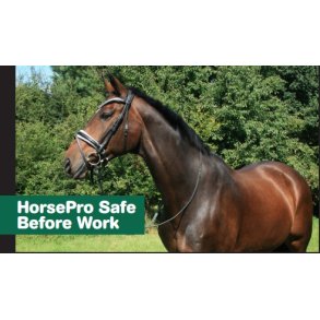 HorsePro Safe Before Work