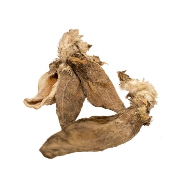 Tikki Kaninrer med Pels