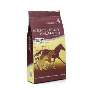 Saracen Kentucky Balancer 20 kg 