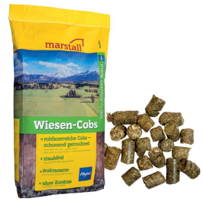 Marstall Wiesen-Cobs