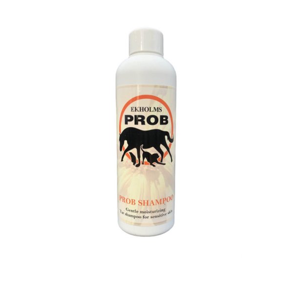 PROB Shampoo (tjre) 