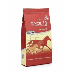 Saracen Race 13 