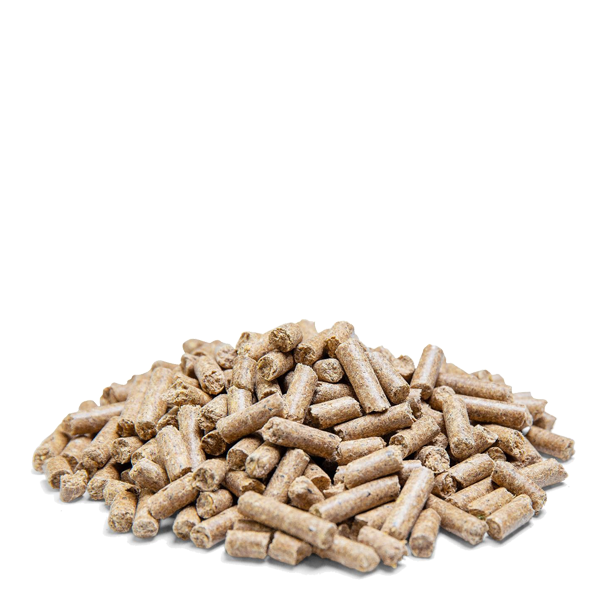 Spillers Digest + Conditioning Cubes