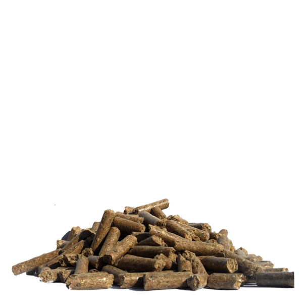 Spillers Horse &amp; Pony Cubes 