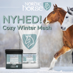 Nordic Cozy Winter Mash