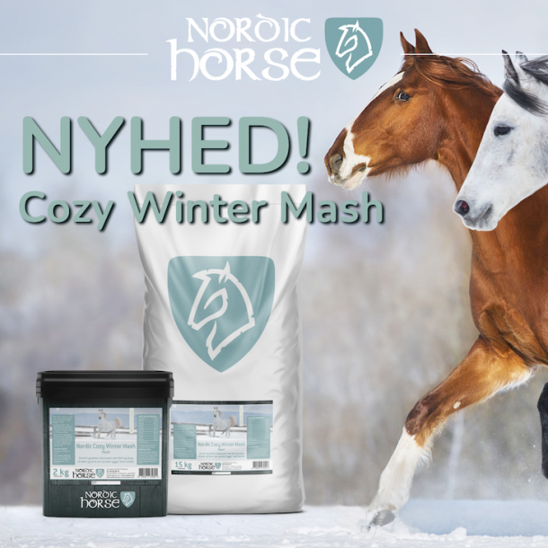 Nordic Cozy Winter Mash