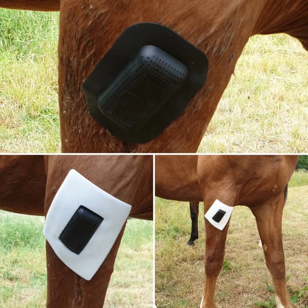 Rheva Kombo S�r Beskyttelse